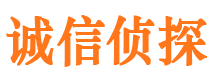 西塞山市私人侦探